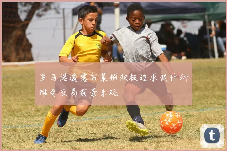 罗马诺透露布莱顿积极追求武什科维奇交易前景乐观